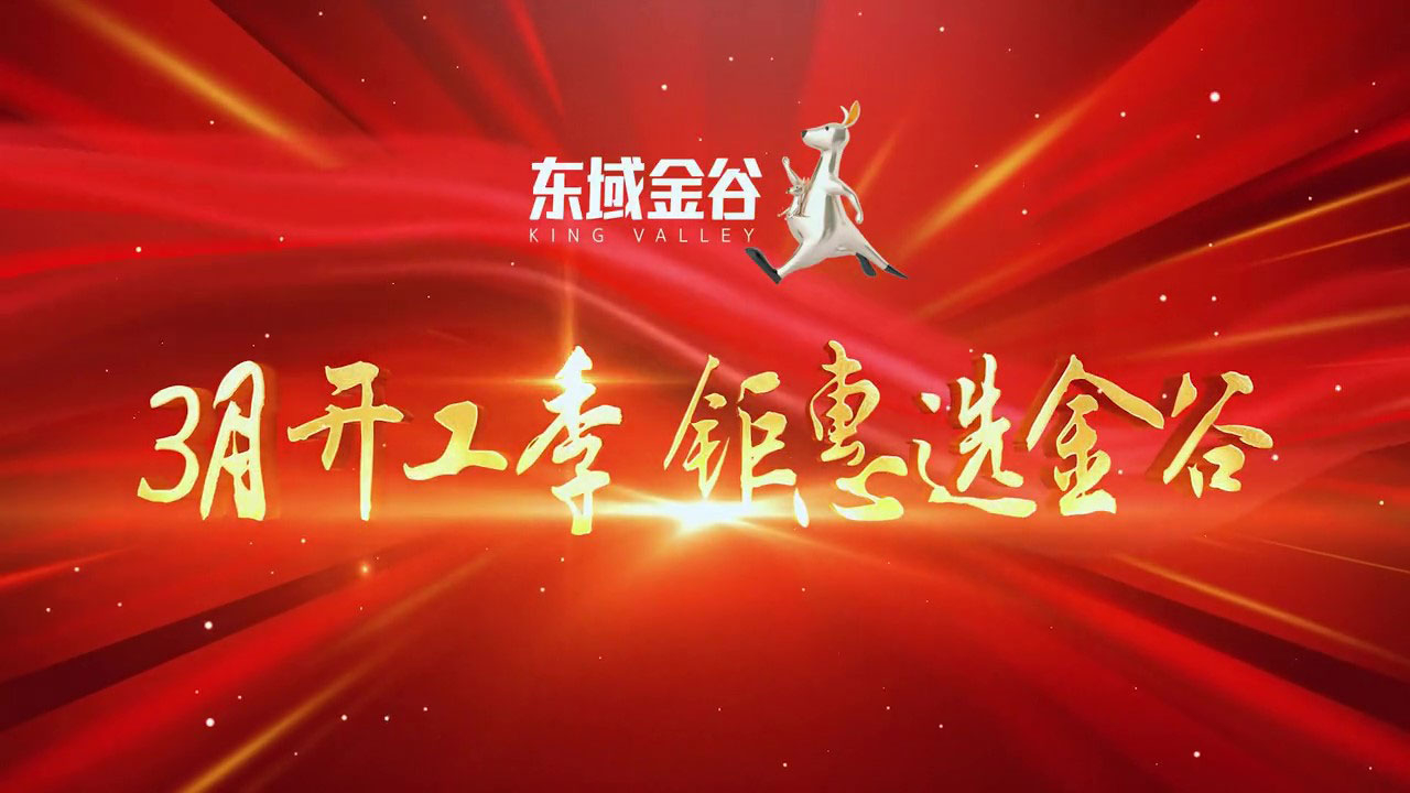 东域金谷-视频